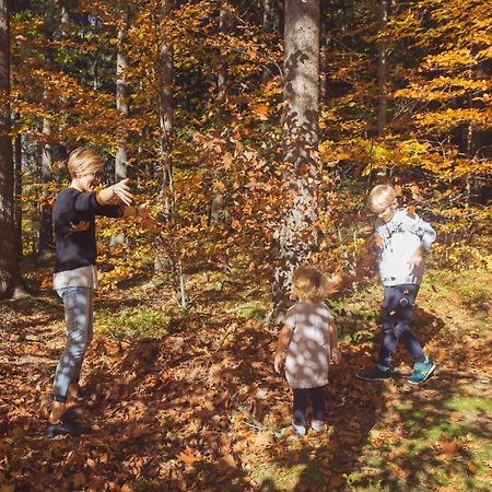 Drewniana Roza Domki Karkonosze Piechowice  Eksteriør bilde