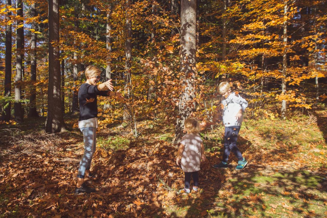 Drewniana Roza Domki Karkonosze Piechowice  Eksteriør bilde