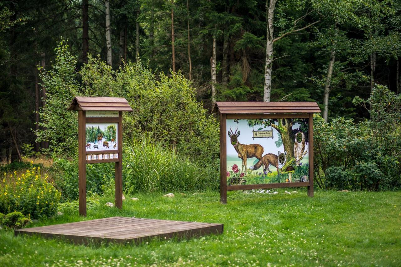Drewniana Roza Domki Karkonosze Piechowice  Eksteriør bilde